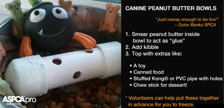 stuffed critter on thanksgiving enrichment toy using pvc pipe diy