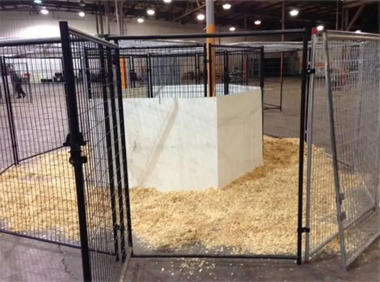 completed racetrack dog enrichment pen indoors