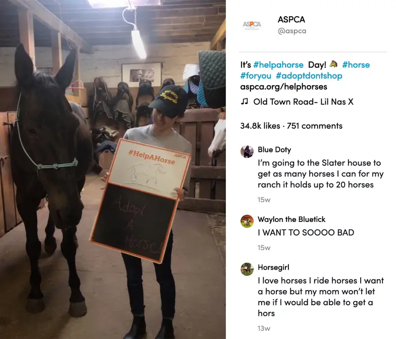 young person with horse and promotional chalkboard from tiktok app