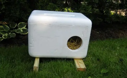 building a cat house for the winter