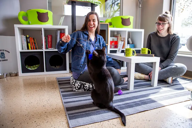 Waiving Adoption Fees at the ASPCA's Adoption Center