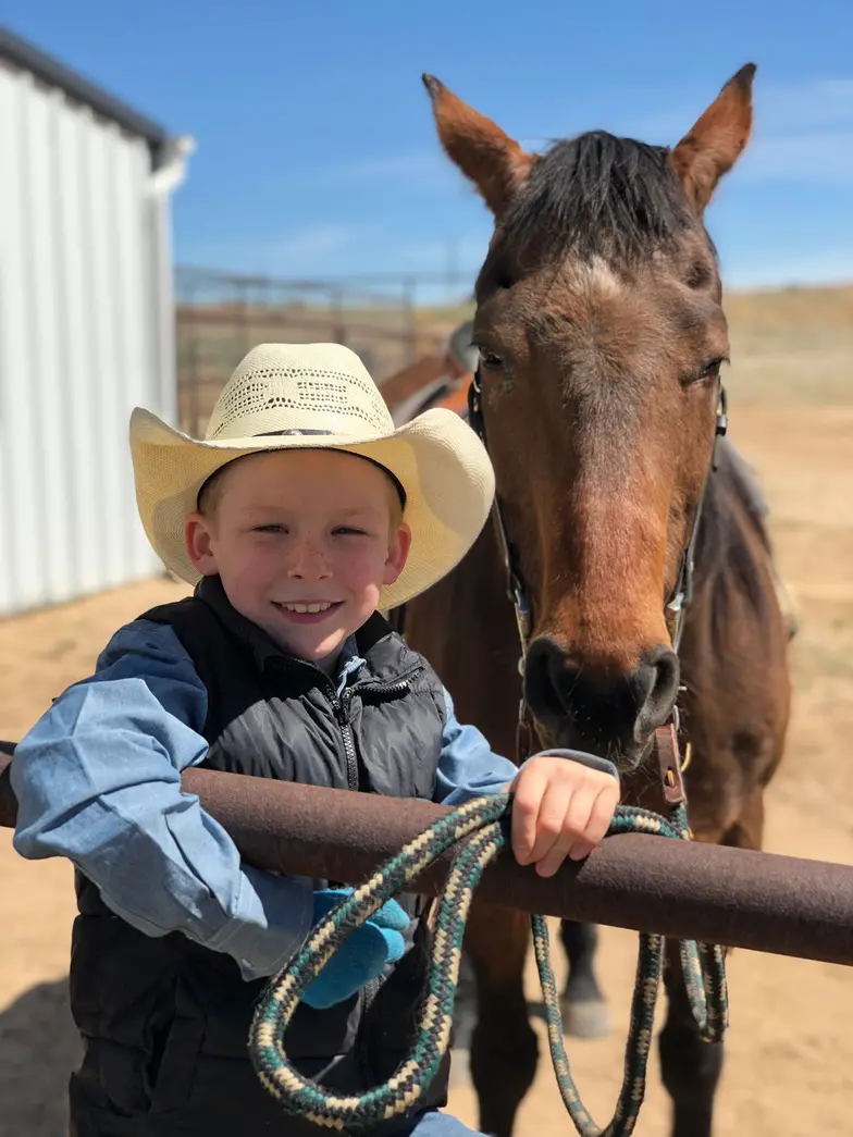young boy at fence holding rope near brown horse