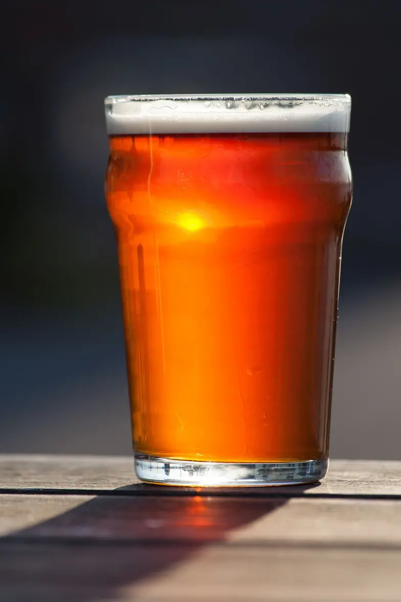 pint of dark beer in sunlight