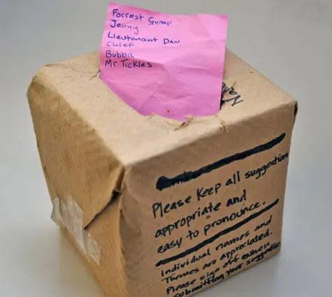 box with suggestions for names sticking out of it