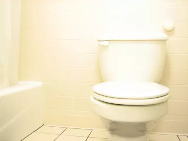The Dangers Of Using Toilet Bowl Cleaners