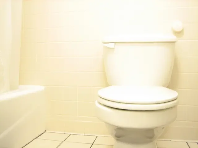 Toilet bowl in a bathroom