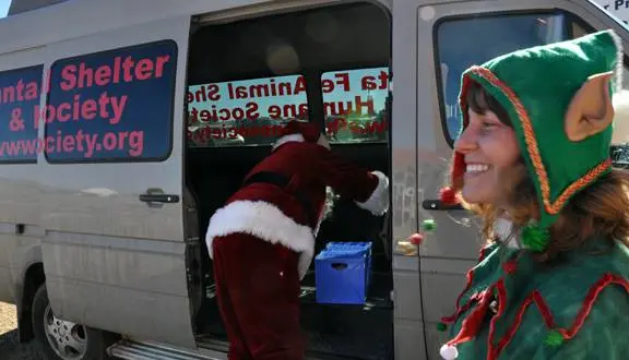 Shelter workers dressed in holiday costumes