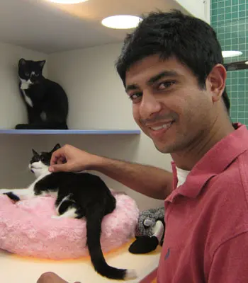 Volunteer with two cats