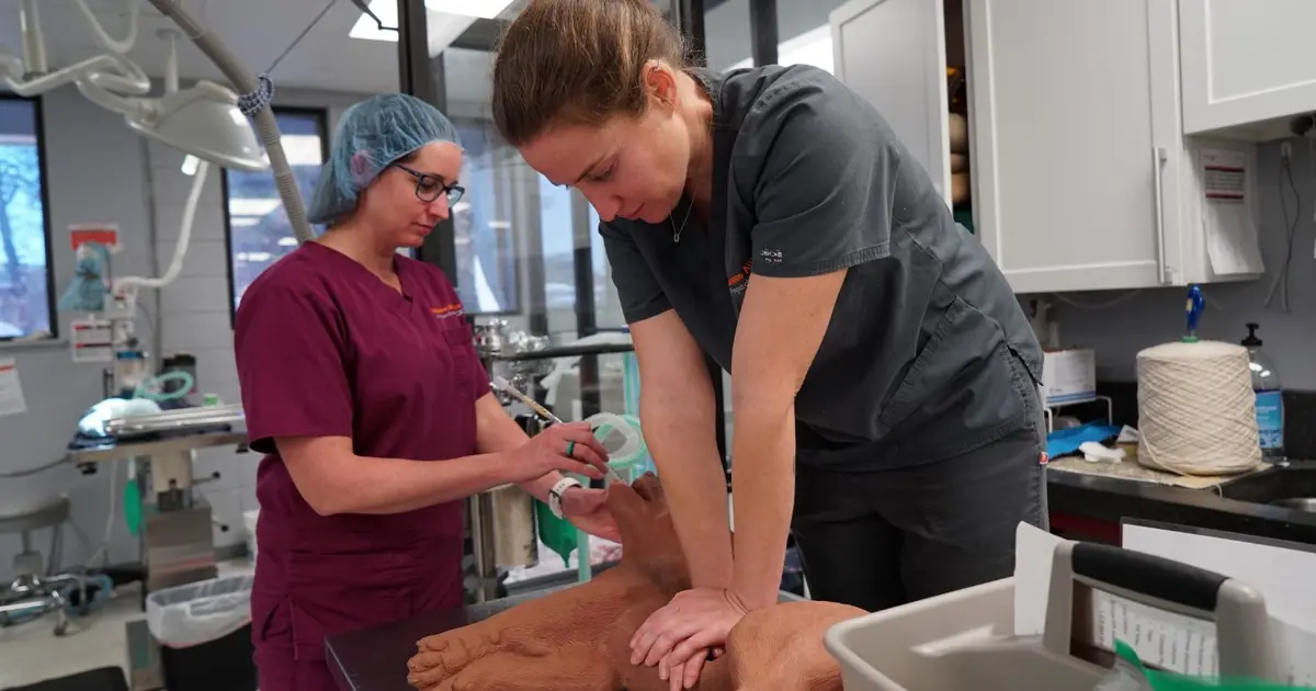 Preparedness for Spay/Neuter Emergencies | ASPCApro