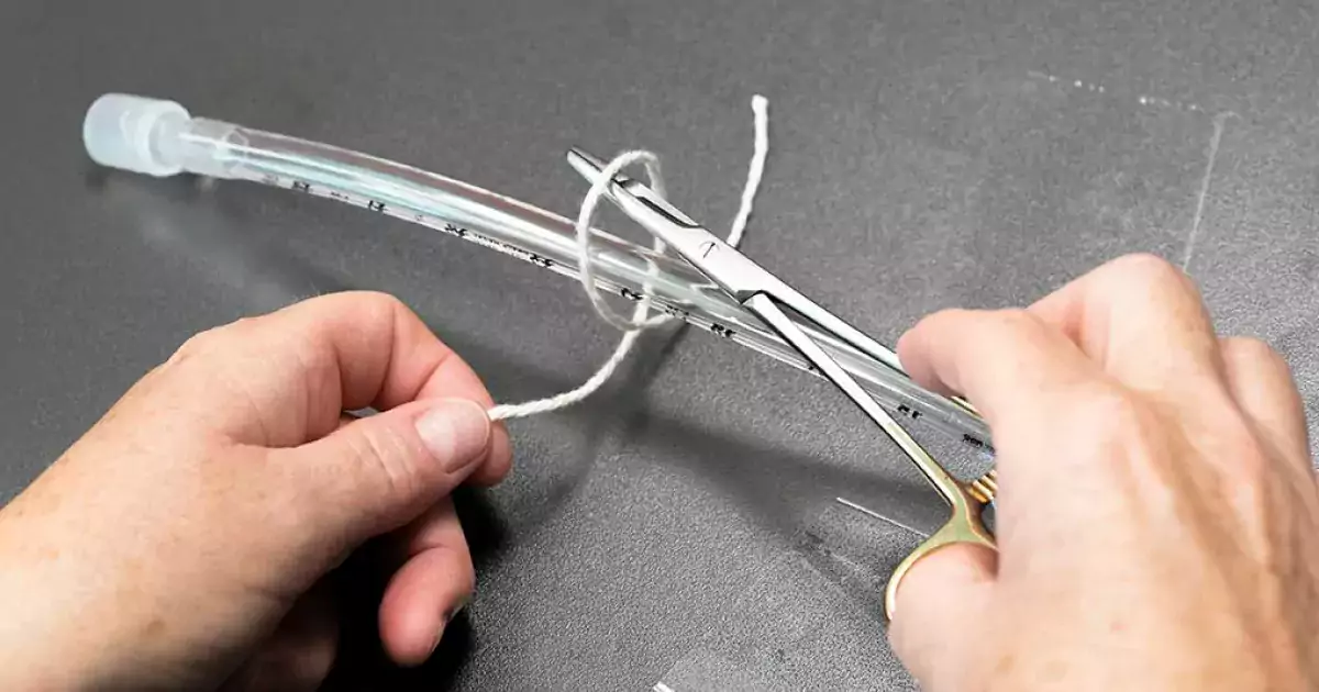 Surgical Models & Knot Tying Practice