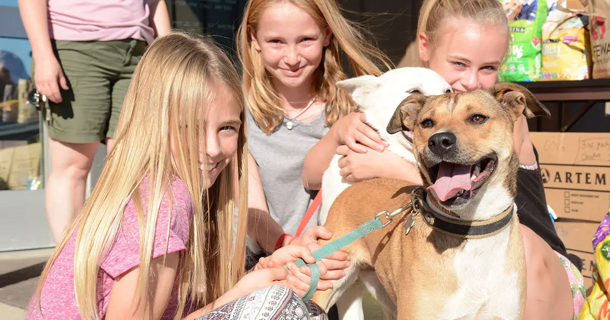 Aspca find cheap your fido
