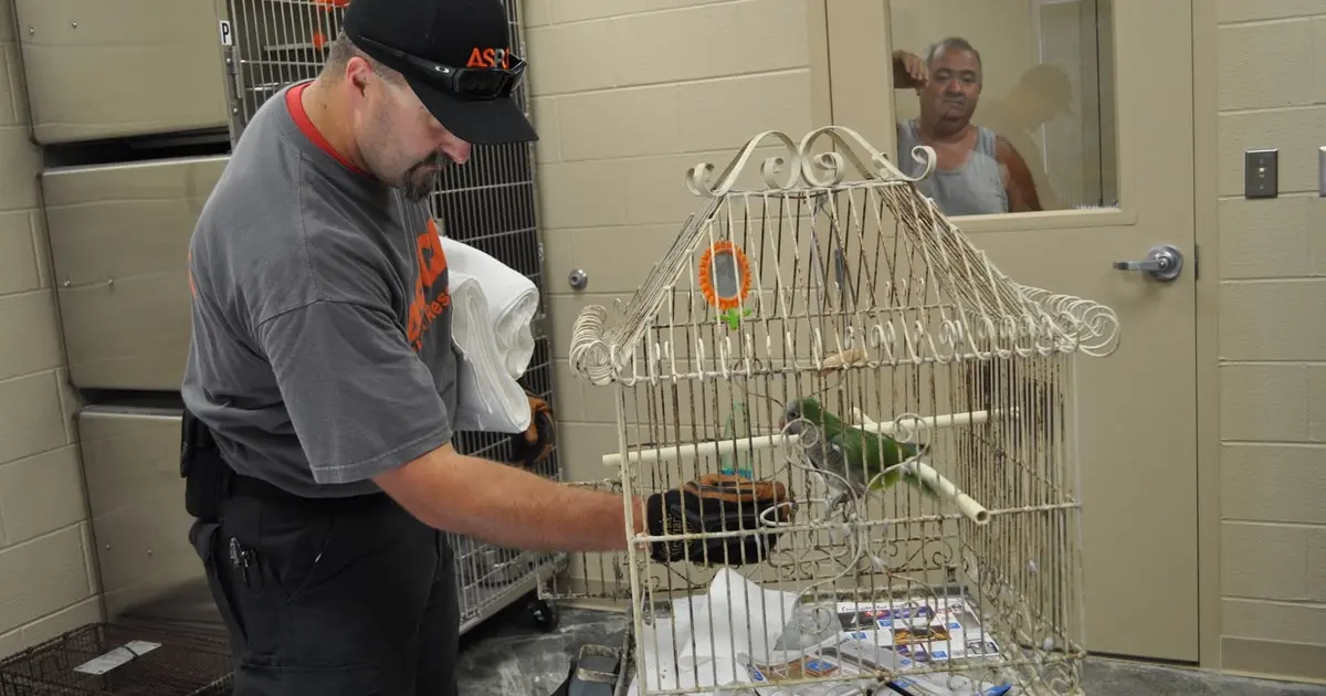 Commercial Bird Socialization Housing Units photo
