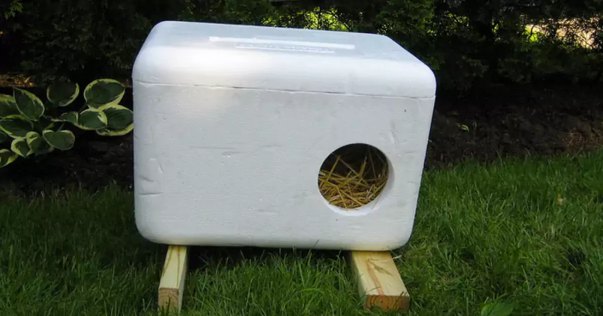 How to Set Up an Outdoor Cat House for Pets, Strays, and Ferals