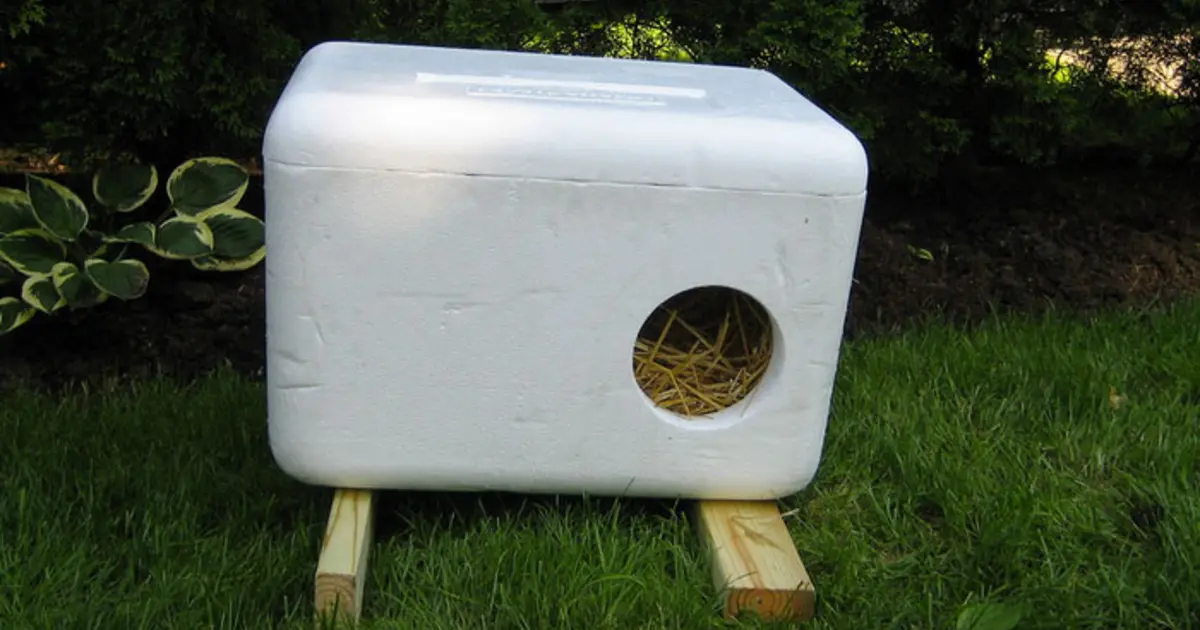 building a cat house for the winter