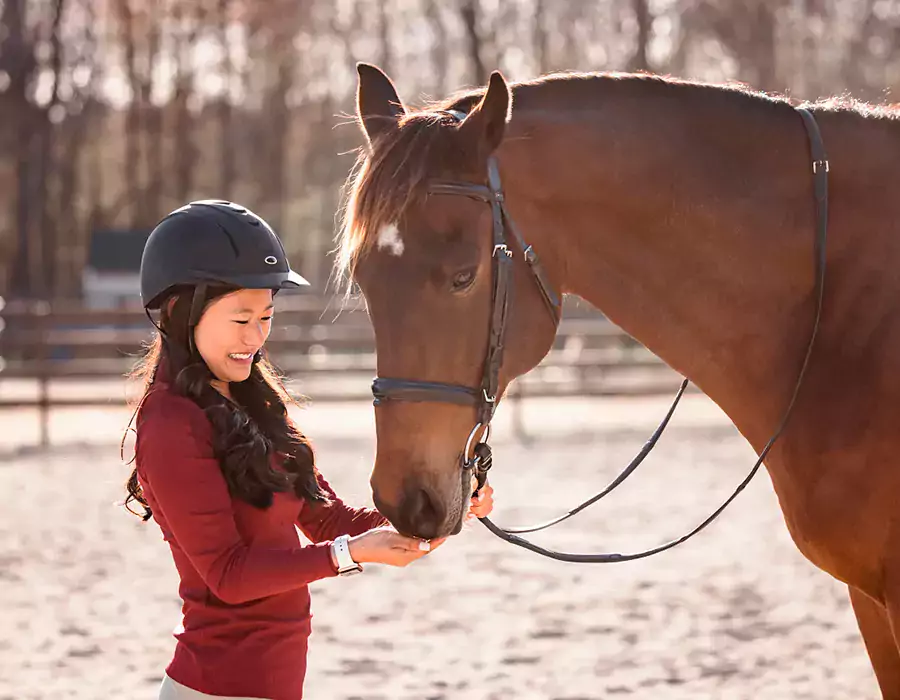 smiling woman wearing riding gear feeds brown horse in sunshine outdoors