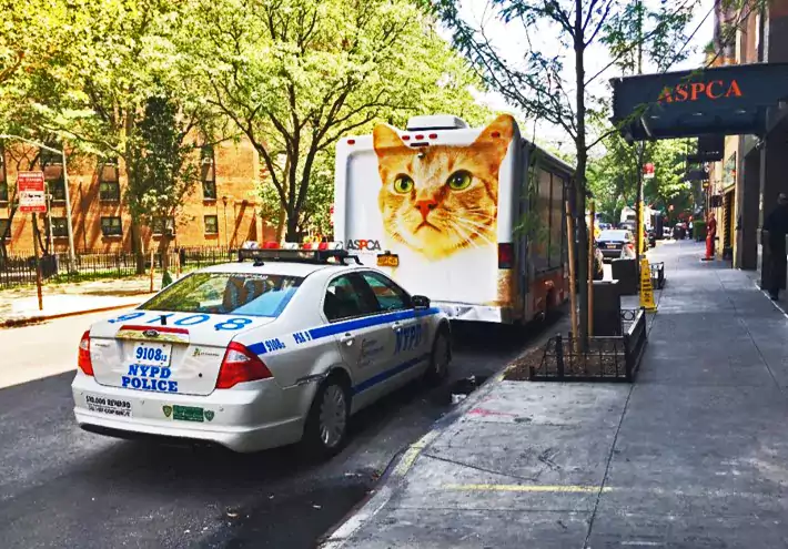 NYPD car parked behind an ASPCA marked vehicle