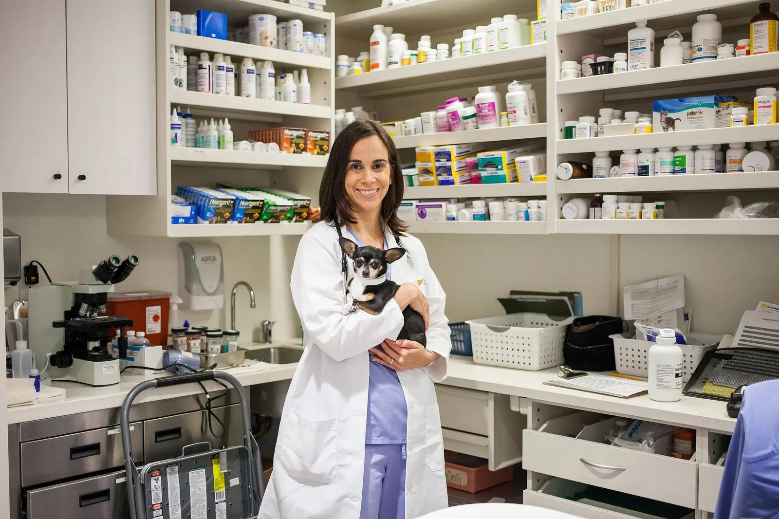 Medical staff holding small black dog in an office